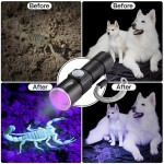 USB Rechargeable  UV LED Flashlight,Zoomable