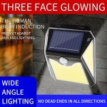 Outdoor Solar LED Induction Wall Light